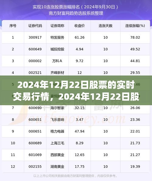 2024年12月22日股市实时交易行情深度剖析