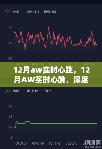 12月AW实时心跳深度探讨，利弊分析与个人观点