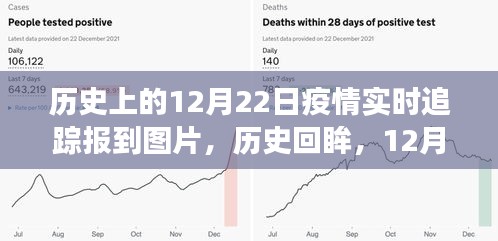 历史回眸，12月22日疫情风云纪实与实时追踪报到图片