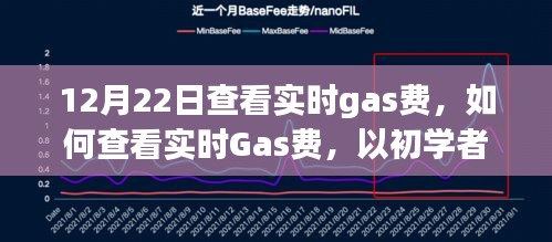 初学者视角详解，如何查看实时Gas费（进阶版指南）