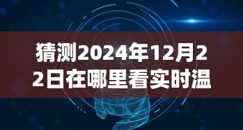 未来触手可及，智能温度表实时追踪系统，预测2024年实时温度表图片