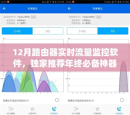 独家推荐！年终必备神器，12月路由器实时流量监控软件测评与使用指南🔧📊🔥
