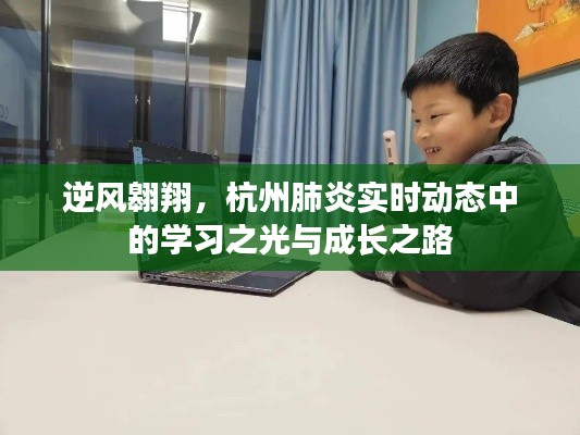 杭州肺炎实时动态中的逆风翱翔，学习之光与成长之路