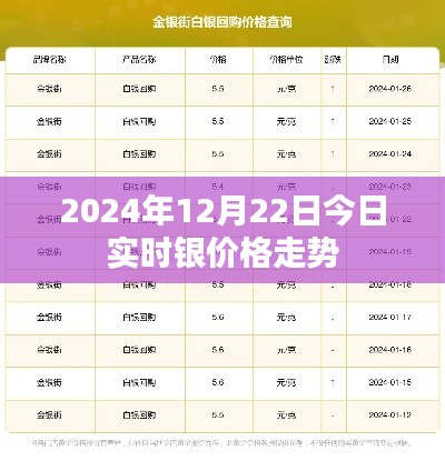 2024年12月22日银价实时走势分析