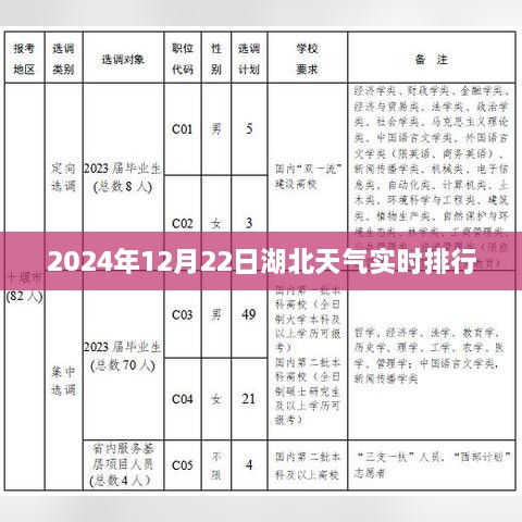 2024年12月 第225页