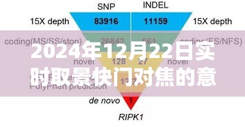 快门对焦的意义与运用，实时取景技巧解析