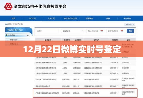 微博实时号鉴定，揭秘账号真实性，时间戳锁定在年末这一天