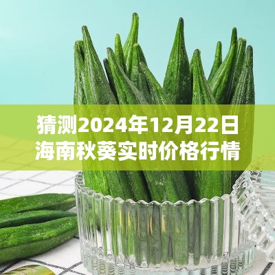 海南秋葵价格行情预测，2024年12月22日实时价格走势分析