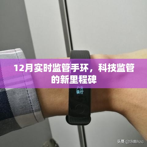 12月实时监管手环，科技监管新突破