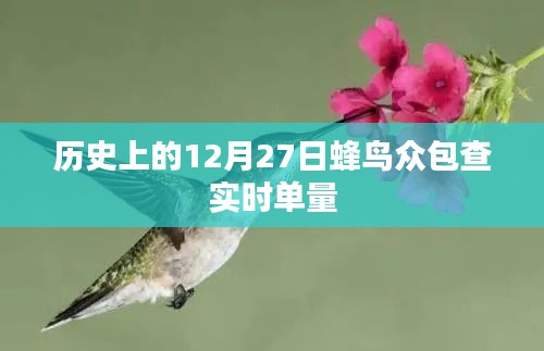 蜂鸟众包实时单量历史记录，12月27日数据回顾