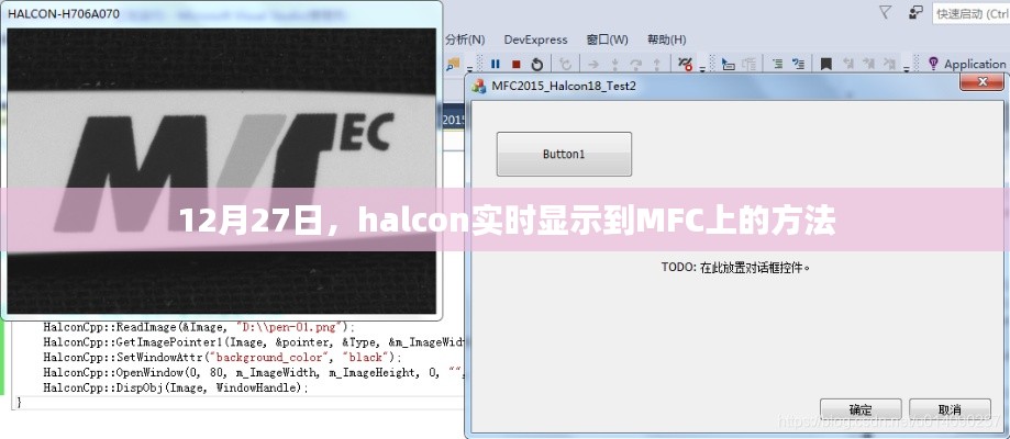 halcon实时显示至MFC界面的方法与技巧