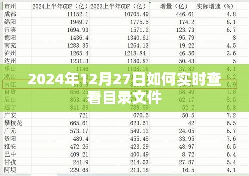 2024年12月27日目录文件实时查看指南