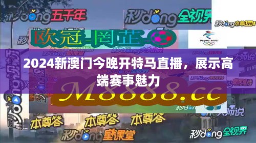 2024新澳门今晚开特马直播，展示高端赛事魅力