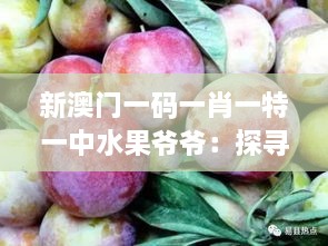 新澳门一码一肖一特一中水果爷爷：探寻珍稀水果的神秘传说