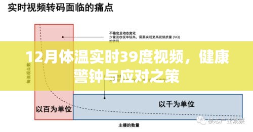 实时体温监测，警惕高温与健康应对之策