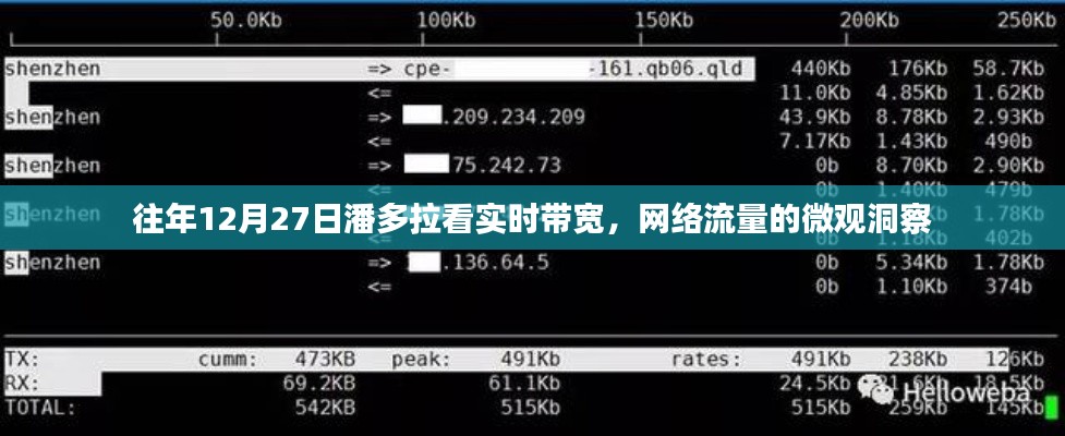 潘多拉实时带宽洞察，网络流量的微观探索