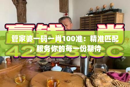 管家婆一码一肖100准：精准匹配，服务你的每一份期待