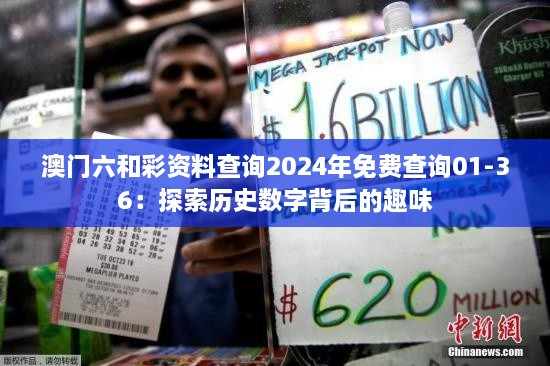 澳门六和彩资料查询2024年免费查询01-36：探索历史数字背后的趣味