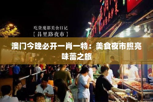 澳门今晚必开一肖一特：美食夜市照亮味蕾之旅