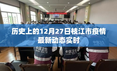 枝江市疫情最新动态实时播报，历史时间线下的数据更新