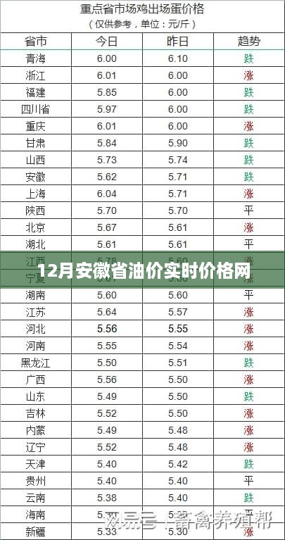 安徽省最新油价实时查询网