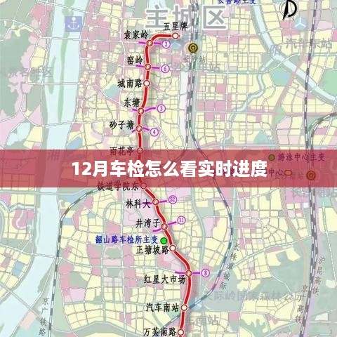 12月车检实时进度查询指南