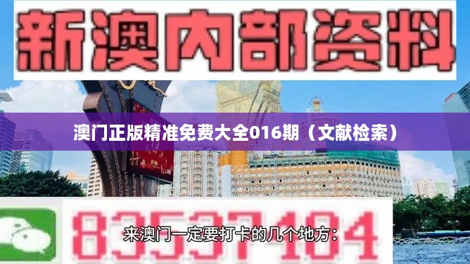 澳门正版精准免费大全016期（文献检索）