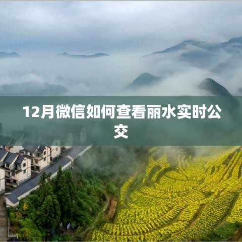 微信丽水实时公交查询攻略