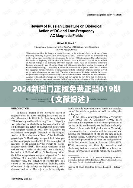 2024新澳门正版免费正题019期（文献综述）