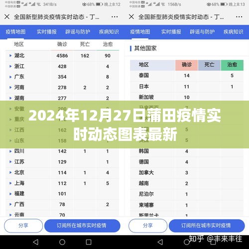 蒲田疫情实时动态图表（最新更新至2024年12月）