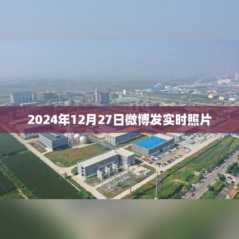 2024年12月 第132页