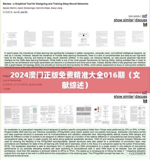 2024澳门正版免费精准大全016期（文献综述）