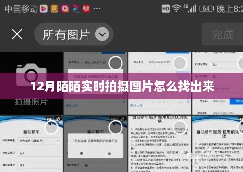 陌陌实时拍摄图片查找攻略，12月最新方法
