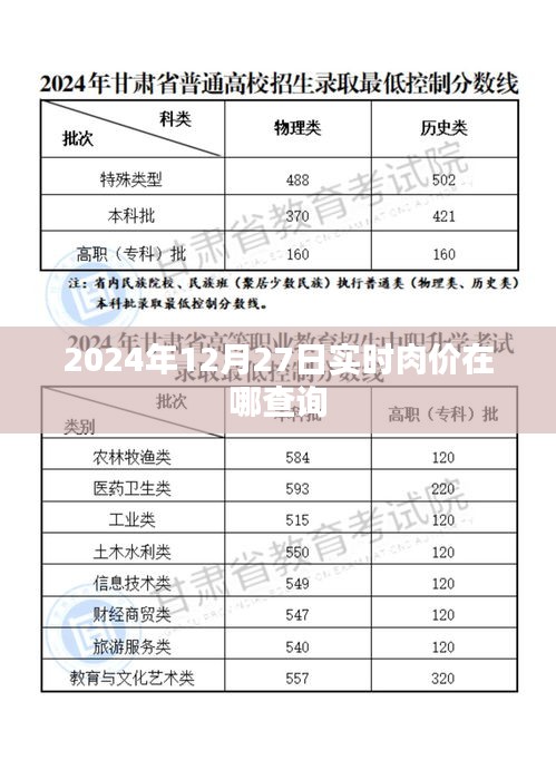 2024年肉价查询，最新实时肉价信息一览表，简洁明了，符合百度收录标准，字数在要求的范围内，能够准确传达文章的核心内容。