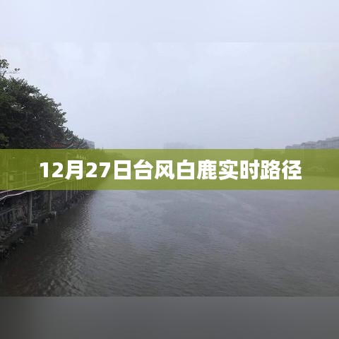 台风白鹿实时路径动态（12月27日更新）