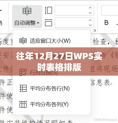 往年12月27日WPS实时表格排版技巧分享