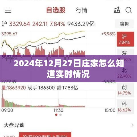 揭秘庄家实时决策，如何掌握股市动态信息
