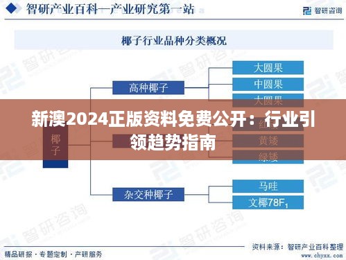 新澳2024正版资料免费公开：行业引领趋势指南