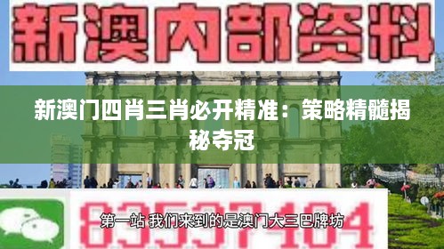 新澳门四肖三肖必开精准：策略精髓揭秘夺冠