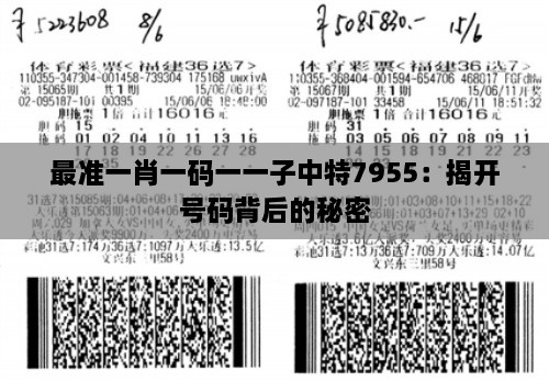 最准一肖一码一一子中特7955：揭开号码背后的秘密