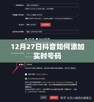 抖音实时号码添加指南，12月27日操作教程