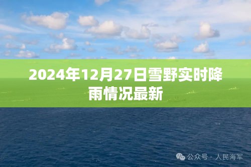 雪野实时降雨情况更新，最新降雨数据报告（时间，2024年）