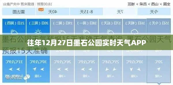 2024年12月29日 第8页