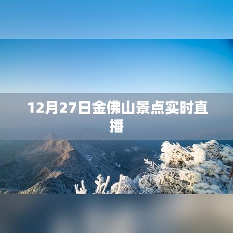 金佛山景点直播实况，探寻冬日魅力