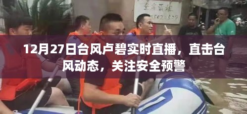 台风卢碧直播，最新动态与安全预警关注