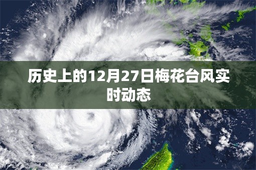 梅花台风历史动态回顾，实时更新梅花台风的轨迹与影响