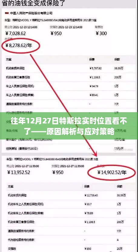 特斯拉实时位置无法查看，原因解析及应对策略