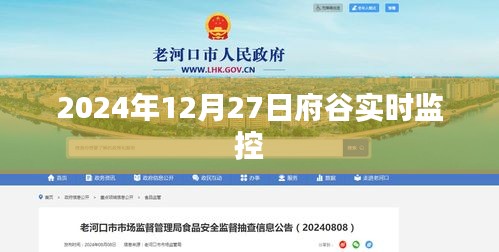 府谷县实时监控系统，2024年12月27日观察报告