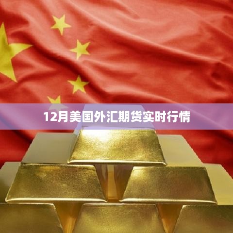 美国外汇期货实时行情分析（十二月版）