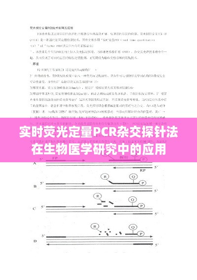 实时荧光定量PCR杂交探针法在生物医学研究中的关键应用